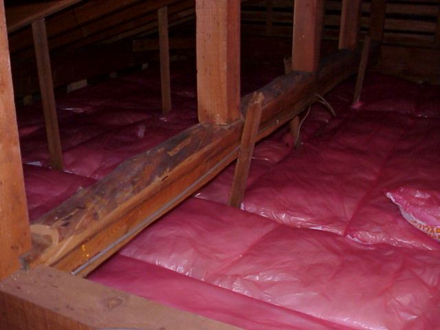 断熱材や床暖房よりおトク 床下断熱 ヒートマジックシステム で住まいの冷え対策 シロアリ 白蟻 害虫駆除対策の雨宮